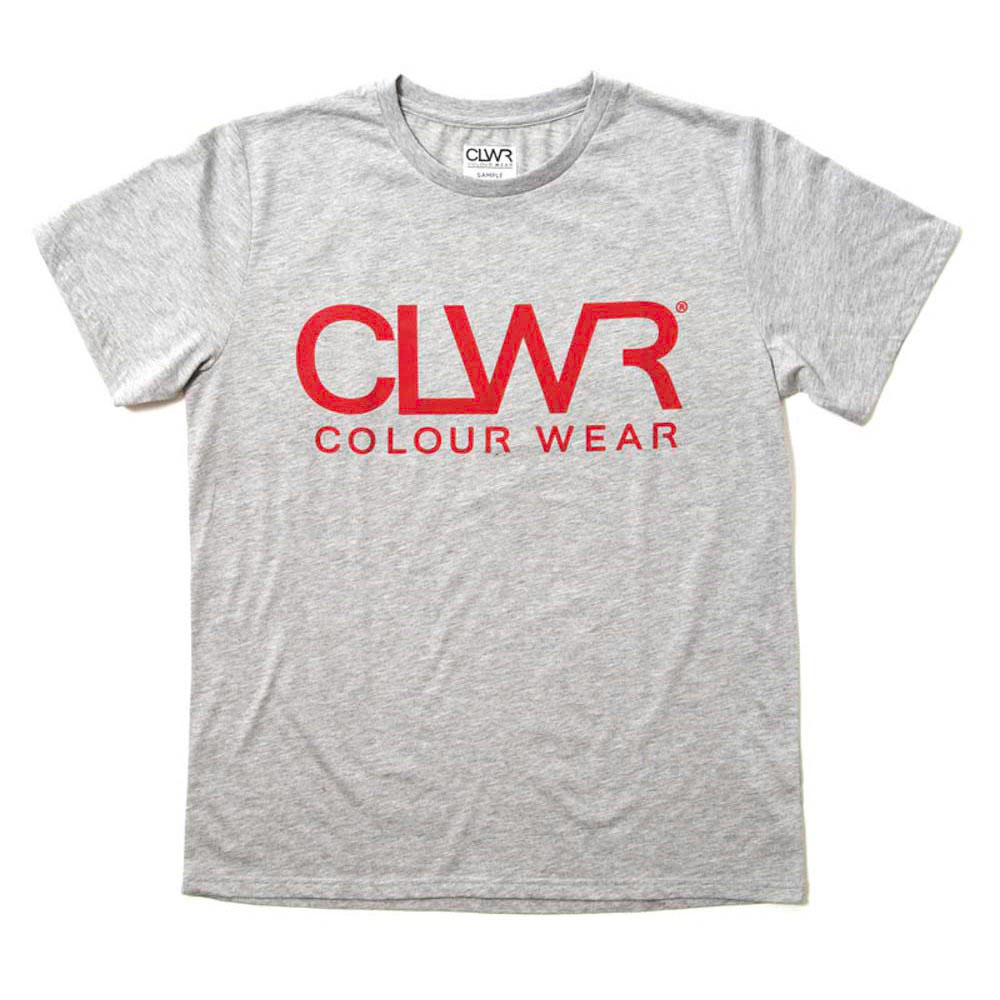 Colour Wear Clwr Grey Melange Men's T-Shirt