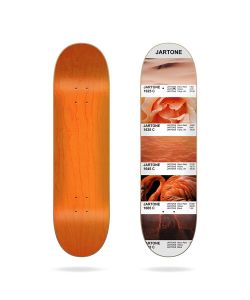 Jart Jartone II 8.125'' Σανίδα Skateboard