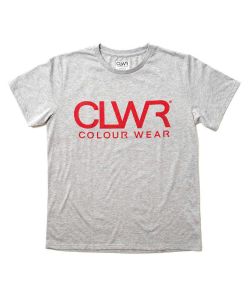Colour Wear Clwr Grey Melange Men's T-Shirt
